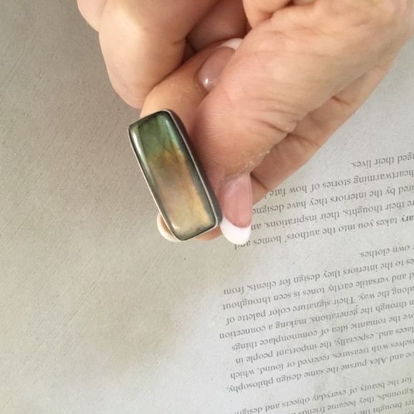 Mercury Orchid Artisan "Light in the Forest" Labradorite Earrings are NWOT!! - Picture 5 of 10